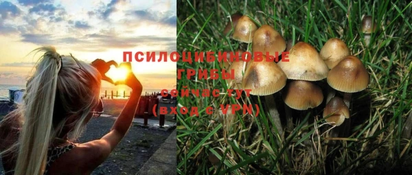 ГАЛЛЮЦИНОГЕННЫЕ ГРИБЫ Алзамай