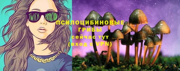 спайс Арсеньев