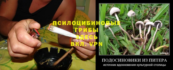 шишки Аркадак