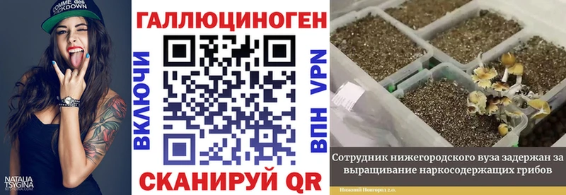 Псилоцибиновые грибы GOLDEN TEACHER  Новомосковск 
